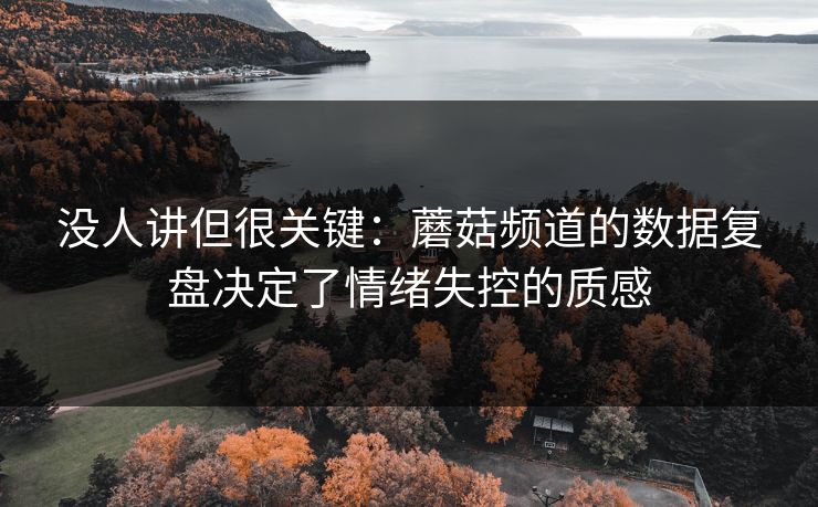 没人讲但很关键:蘑菇频道的数据复盘决定了情绪失控的质感