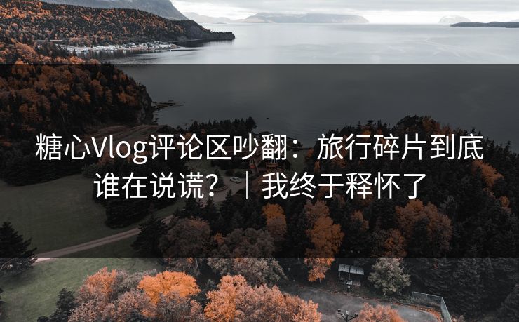 糖心Vlog评论区吵翻:旅行碎片到底谁在说谎?|我终于释怀了