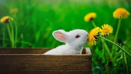 我见过最稳的91网用法：先抓时间管理，再谈其他