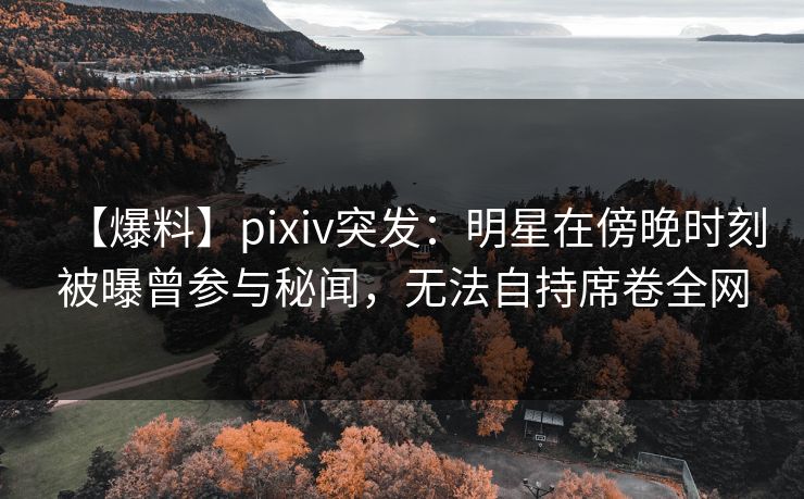 【爆料】pixiv突发：明星在傍晚时刻被曝曾参与秘闻，无法自持席卷全网