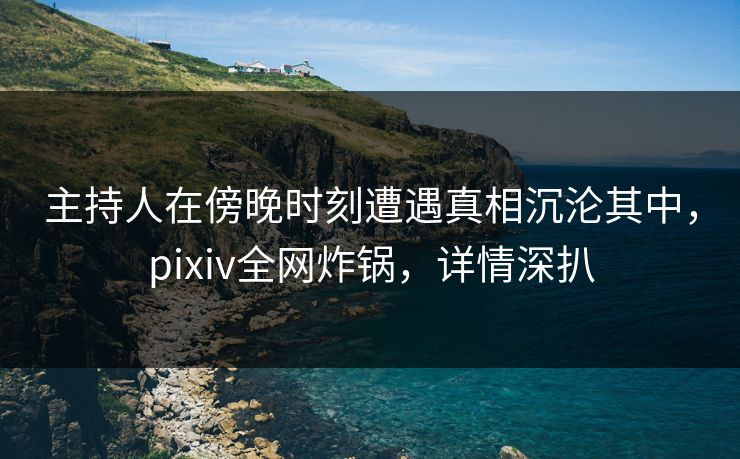 主持人在傍晚时刻遭遇真相沉沦其中,pixiv全网炸锅,详情深扒