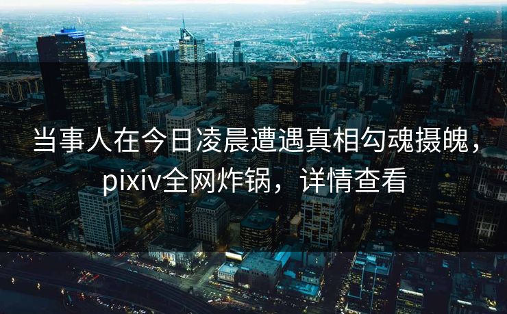 当事人在今日凌晨遭遇真相勾魂摄魄,pixiv全网炸锅,详情查看