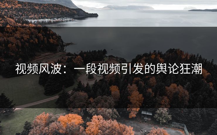 视频风波：一段视频引发的舆论狂潮