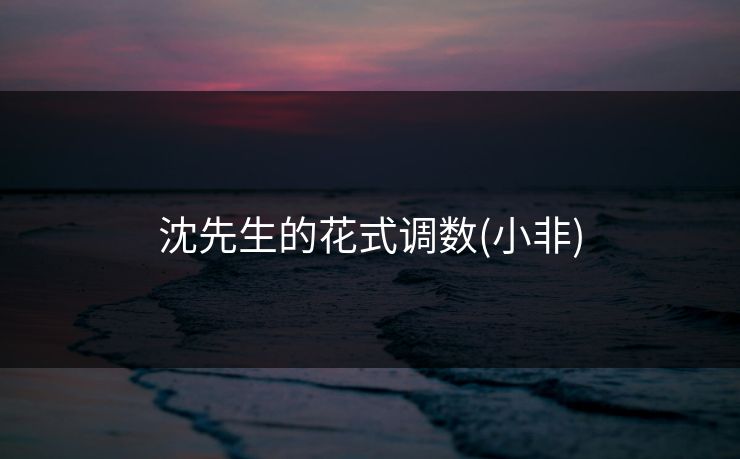 沈先生的花式调数(小非)