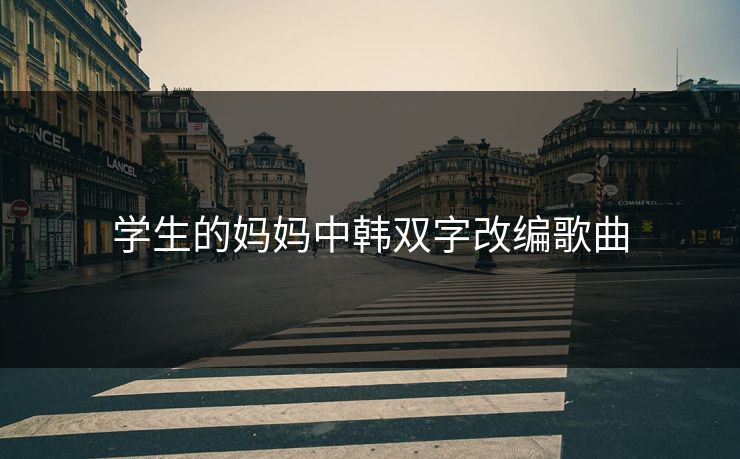 学生的妈妈中韩双字改编歌曲