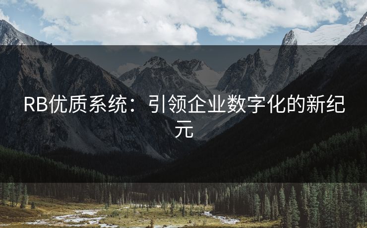 RB优质系统:引领企业数字化的新纪元 RB优质系统:引领企业数字化的新纪元