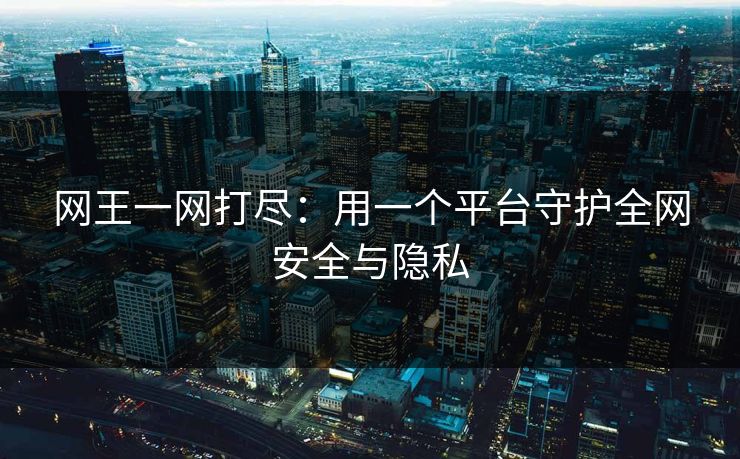 网王一网打尽：用一个平台守护全网安全与隐私