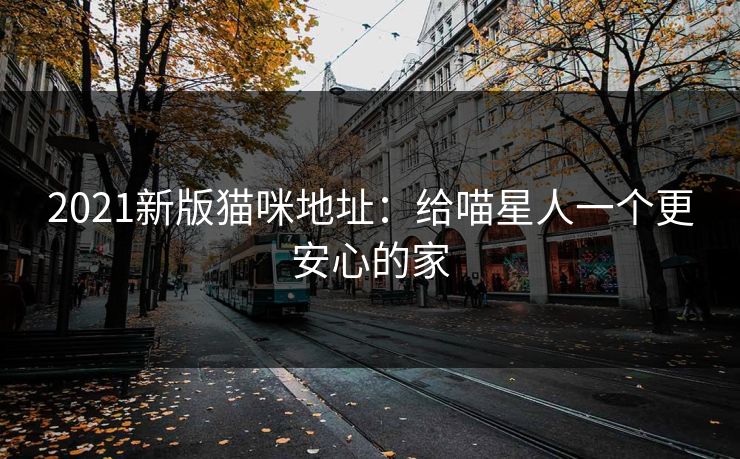 2021新版猫咪地址:给喵星人一个更安心的家 2021新版猫咪地址:给喵星人一个更安心的家