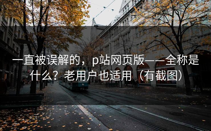 一直被误解的,p站网页版——全称是什么?老用户也适用(有截图) 一直被误解的,p站网页版——全称是什么?老用户也适用(有截图)