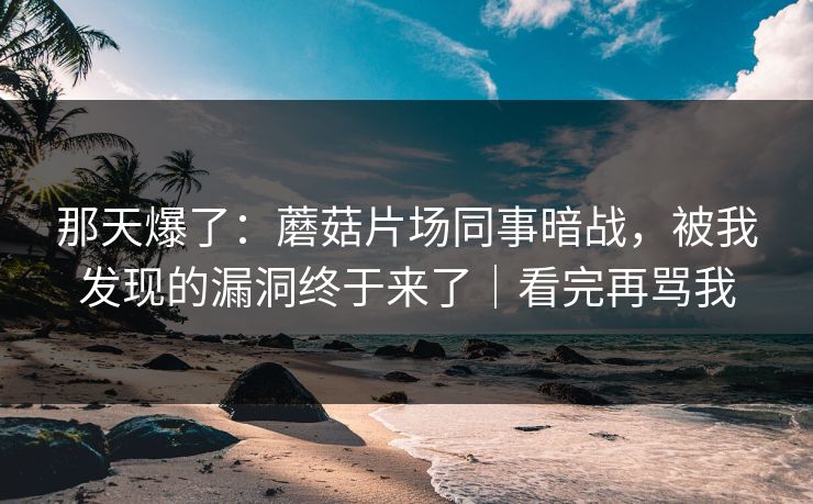 那天爆了：蘑菇片场同事暗战，被我发现的漏洞终于来了｜看完再骂我